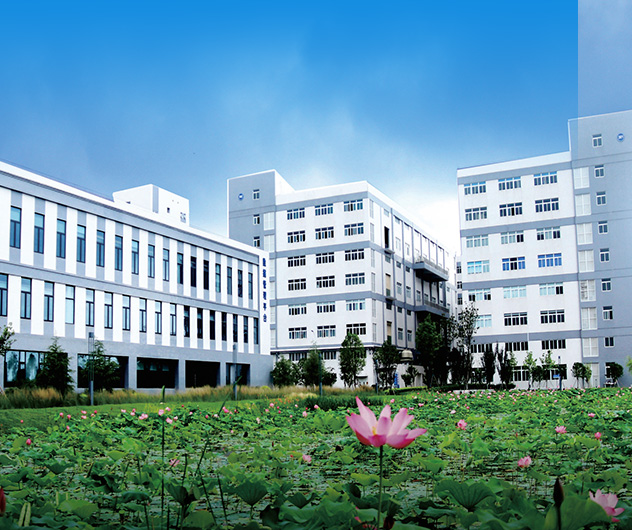 高標(biāo)準(zhǔn)廠(chǎng)房 多種規(guī)格