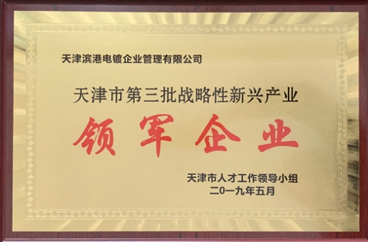 天津市第三批戰(zhàn)略性新興產(chǎn)業(yè)領(lǐng)軍企業(yè)