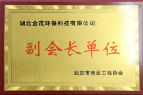 武漢市表面工程協(xié)會副會長單位